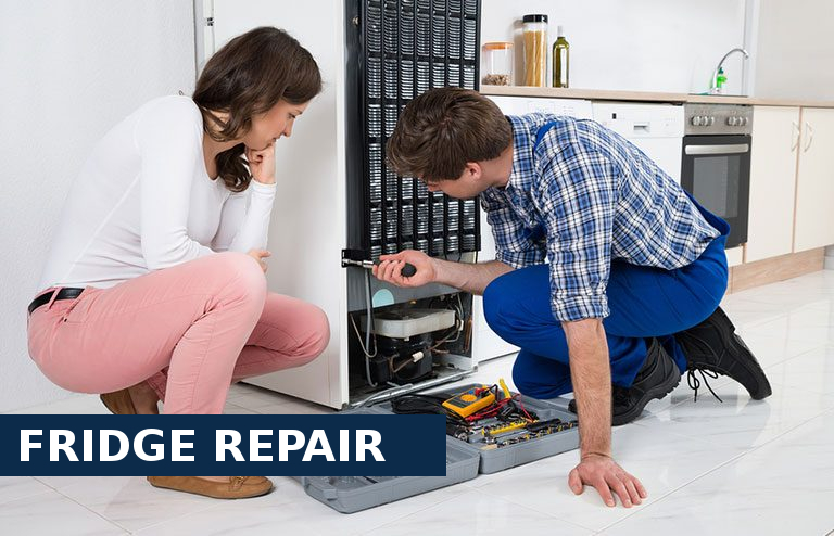 Fridge Repair South Lambeth